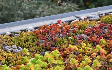 the cost of Sutton St Michael green roof installation